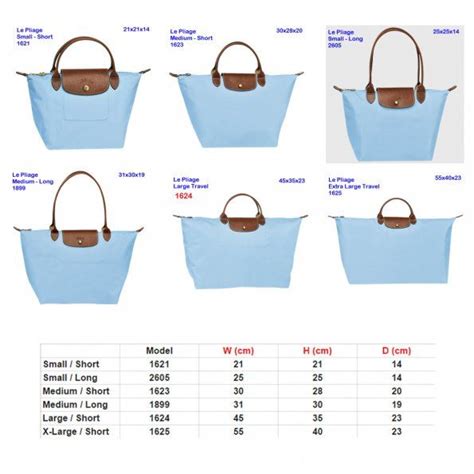 dimensions of longchamp backpack.